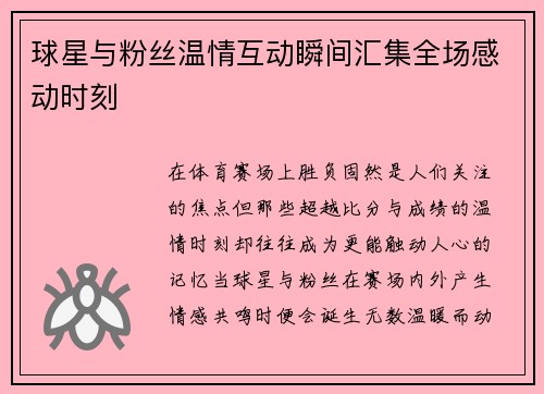 球星与粉丝温情互动瞬间汇集全场感动时刻